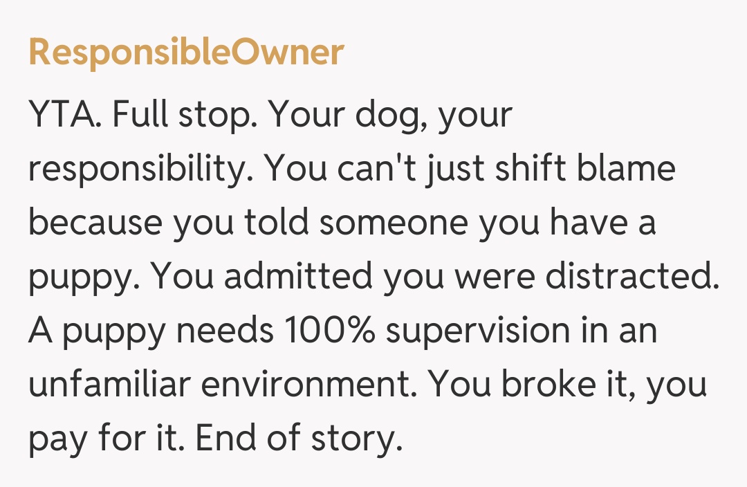 Comentariu de la ResponsibleOwner