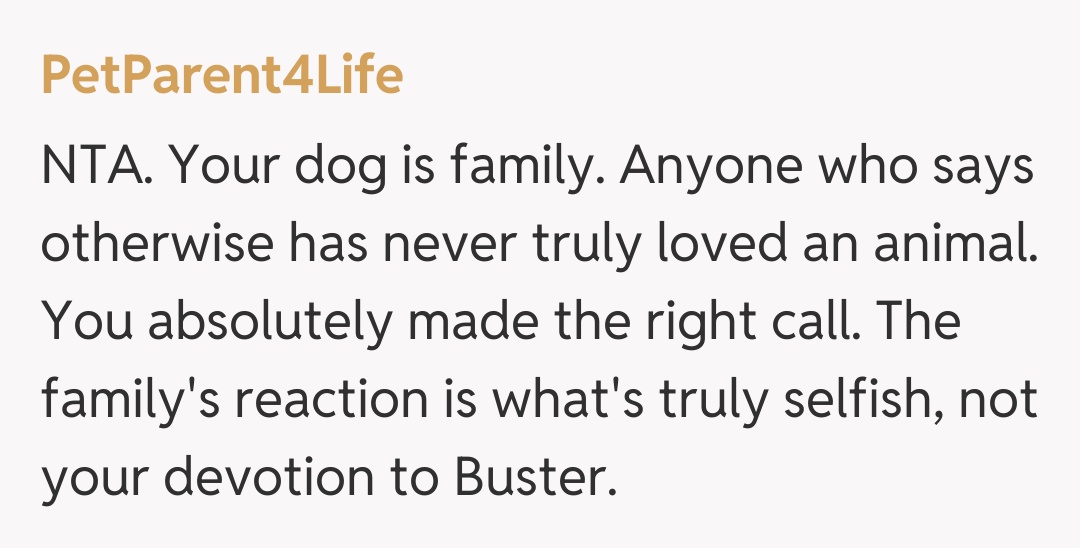 Comentariu de la PetParent4Life