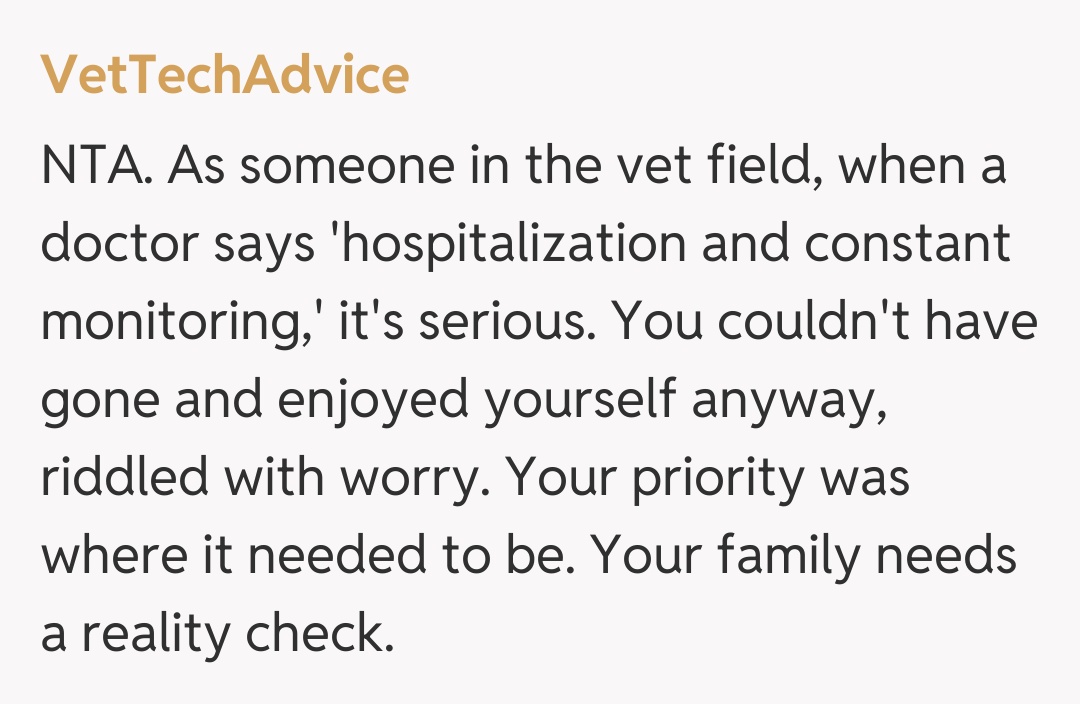 Comentariu de la VetTechAdvice