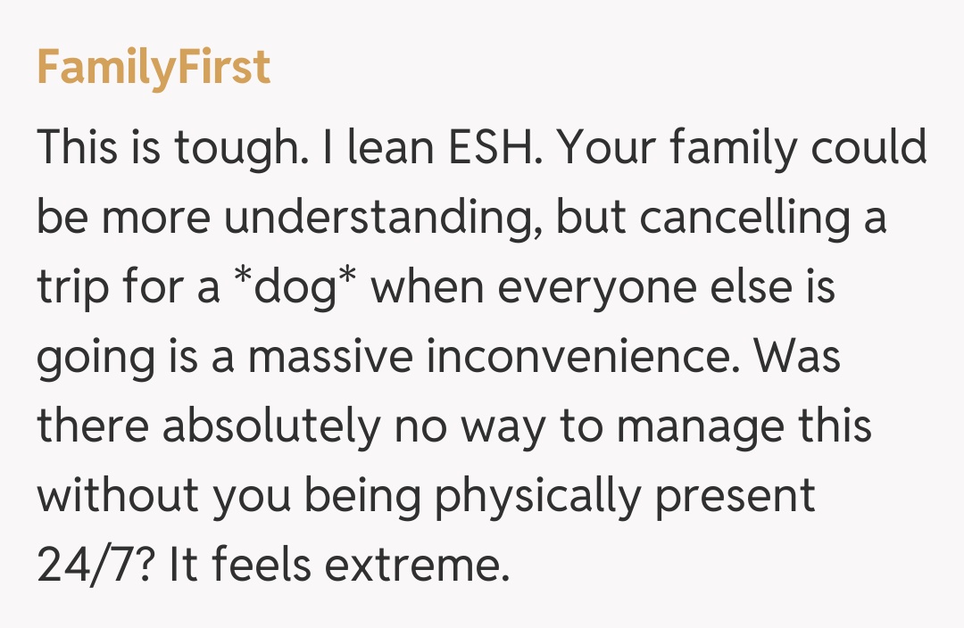 Comentariu de la FamilyFirst
