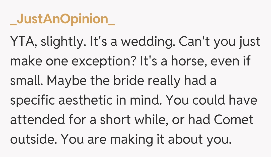 Comentariu de la _JustAnOpinion_