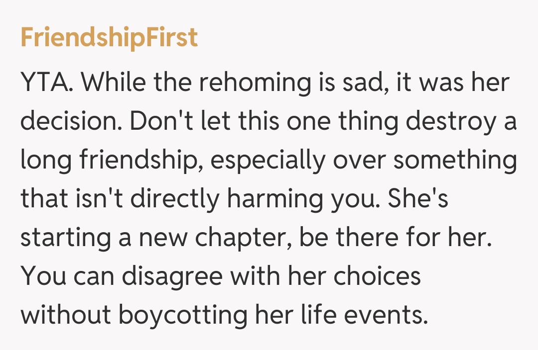 Comentariu de la FriendshipFirst