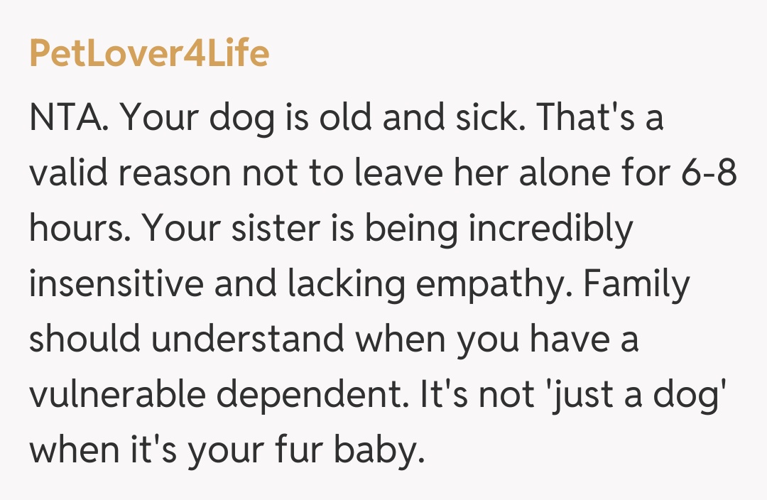 Comentariu de la PetLover4Life