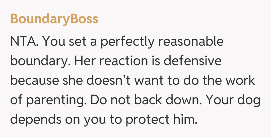 Comentariu de la BoundaryBoss