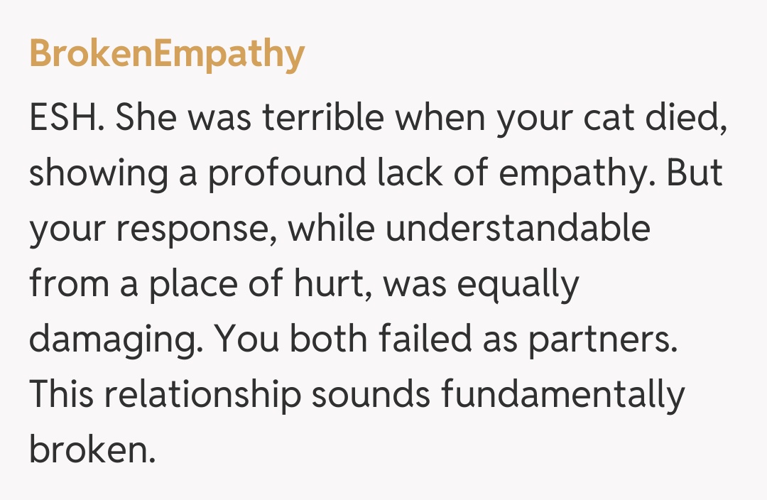 Comentariu de la BrokenEmpathy