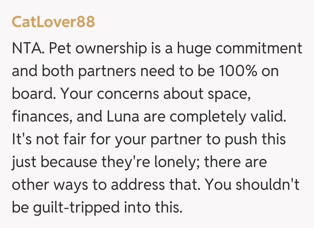 Comentariu de la CatLover88