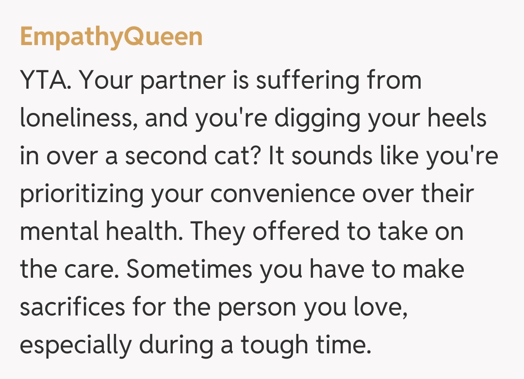Comentariu de la EmpathyQueen