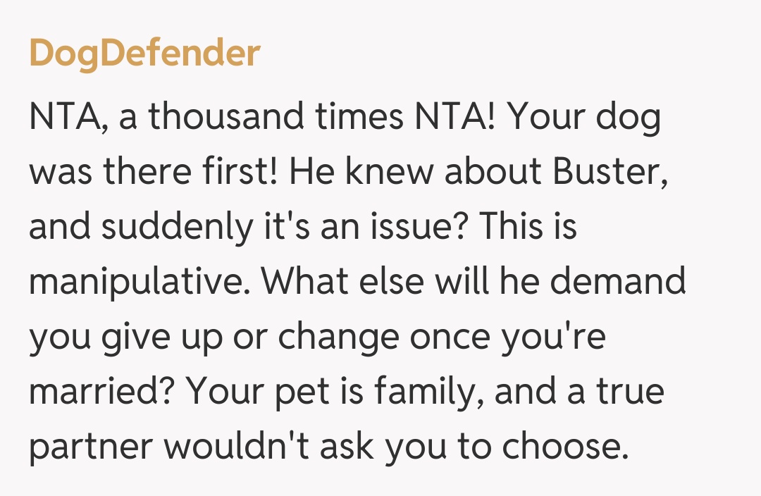 Comentariu de la DogDefender