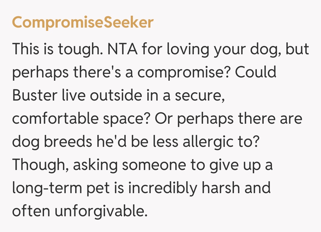 Comentariu de la CompromiseSeeker