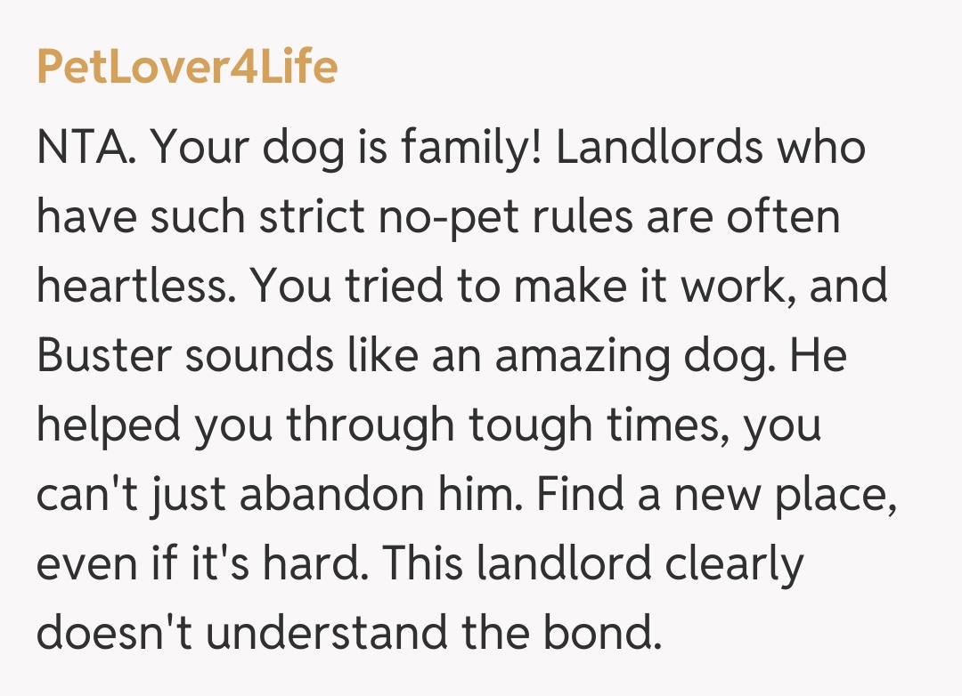 Comentariu de la PetLover4Life