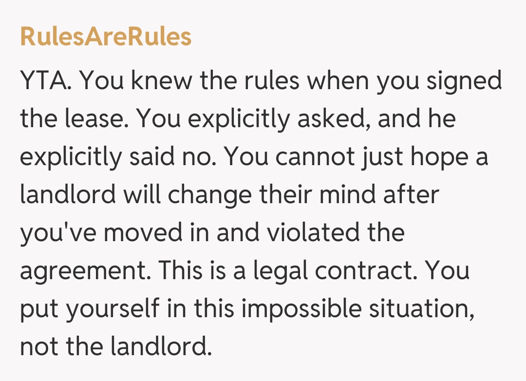 Comentariu de la RulesAreRules