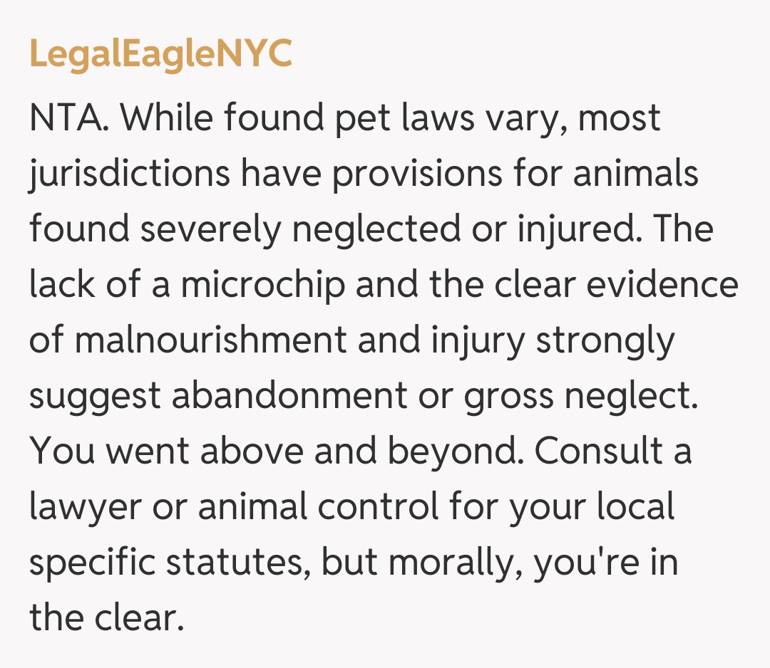 Comentariu de la LegalEagleNYC