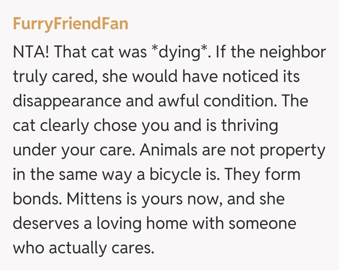 Comentariu de la FurryFriendFan