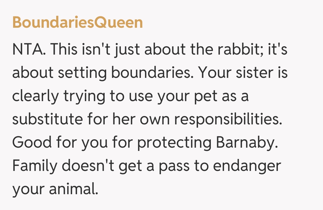 Comentariu de la BoundariesQueen