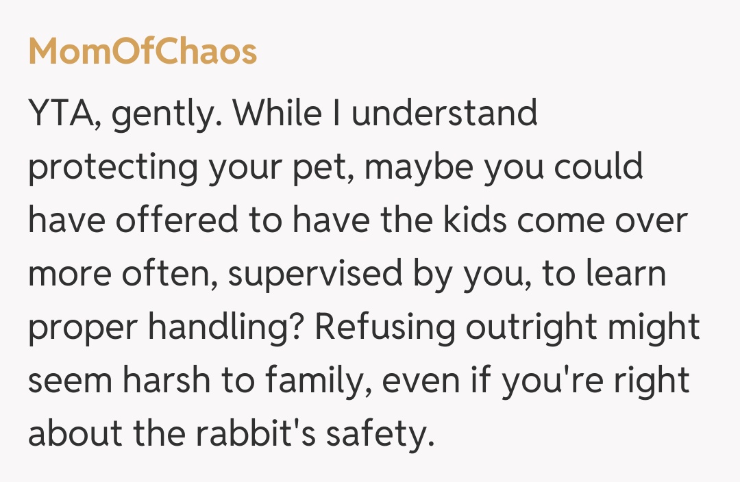 Comentariu de la MomOfChaos