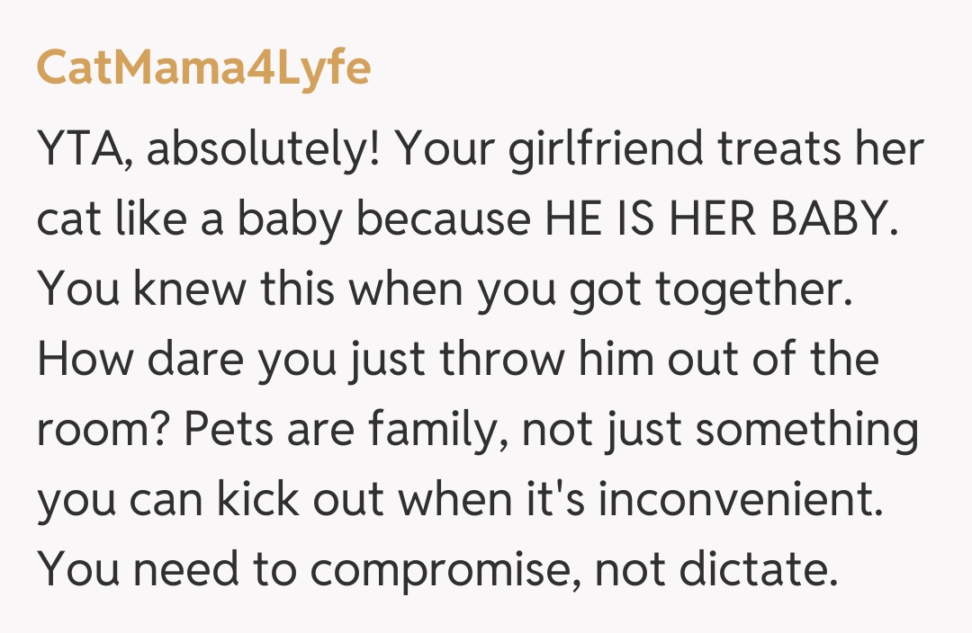 Comentariu de la CatMama4Lyfe