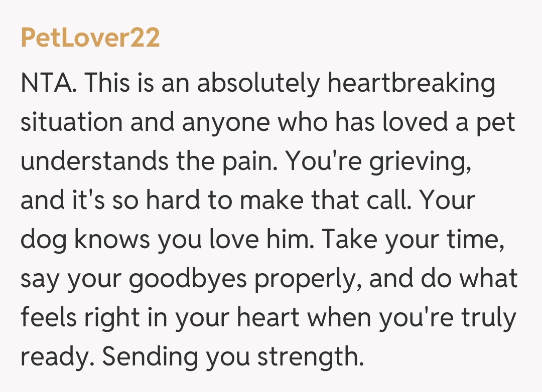 Comentariu de la PetLover22