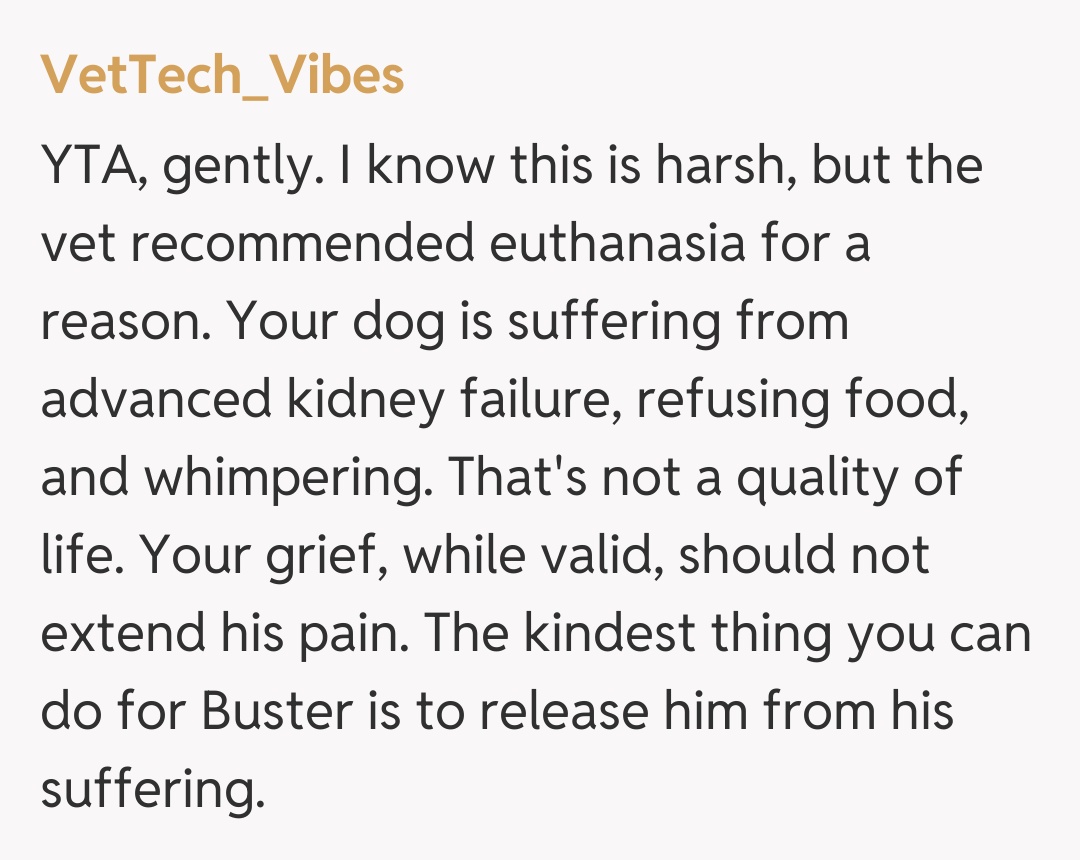 Comentariu de la VetTech_Vibes