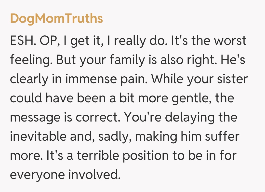Comentariu de la DogMomTruths