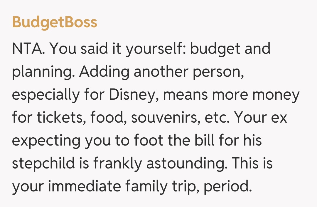 Comentariu de la BudgetBoss