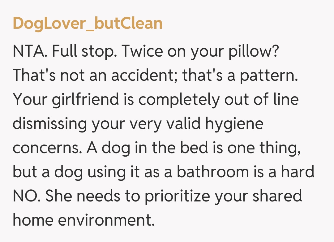 Comentariu de la DogLover_butClean