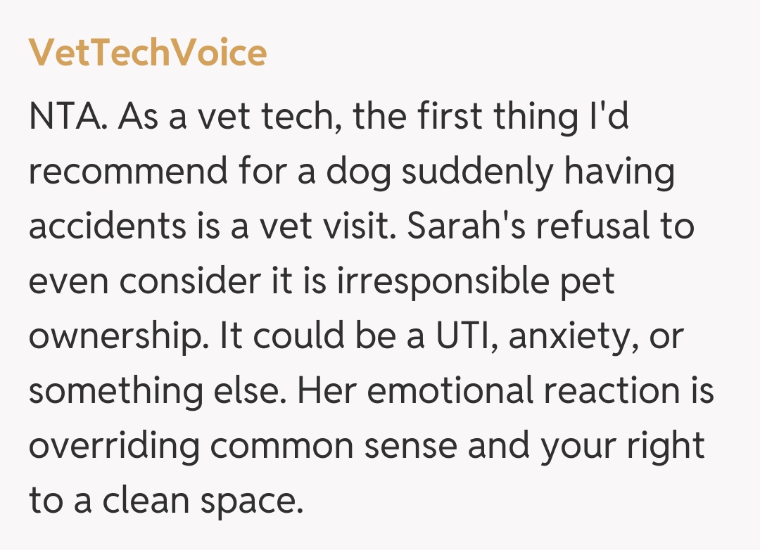 Comentariu de la VetTechVoice