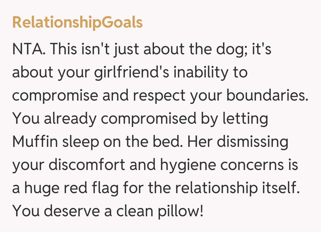 Comentariu de la RelationshipGoals
