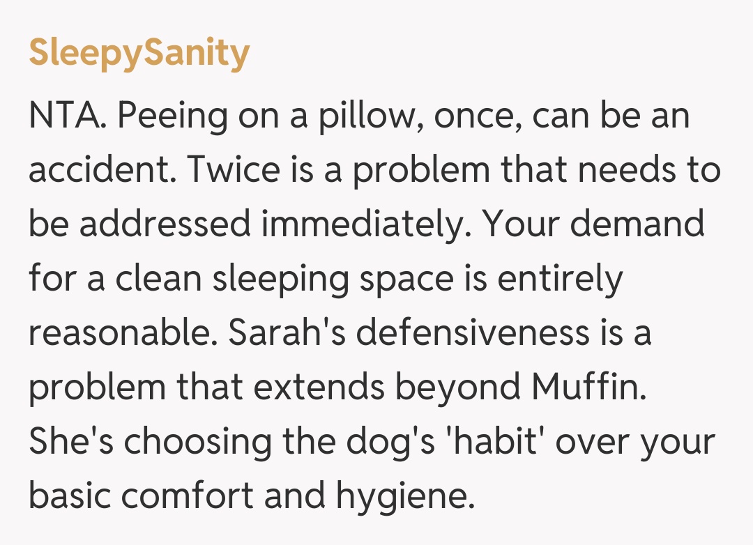 Comentariu de la SleepySanity