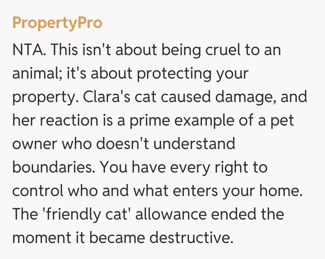 Comentariu de la PropertyPro