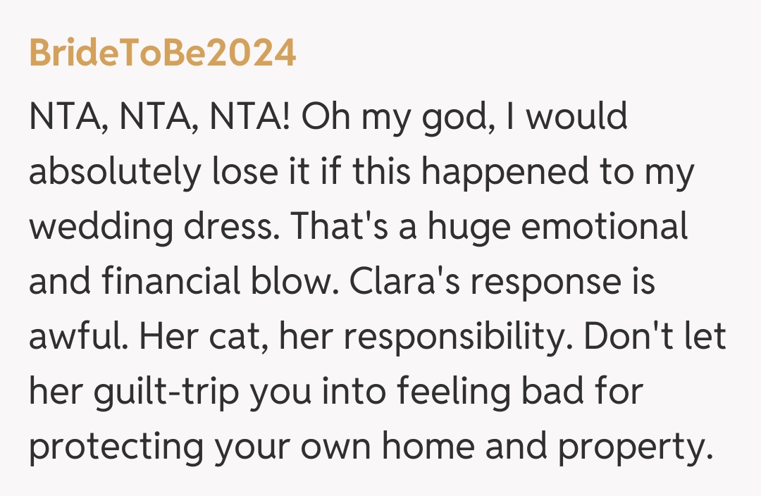 Comentariu de la BrideToBe2024