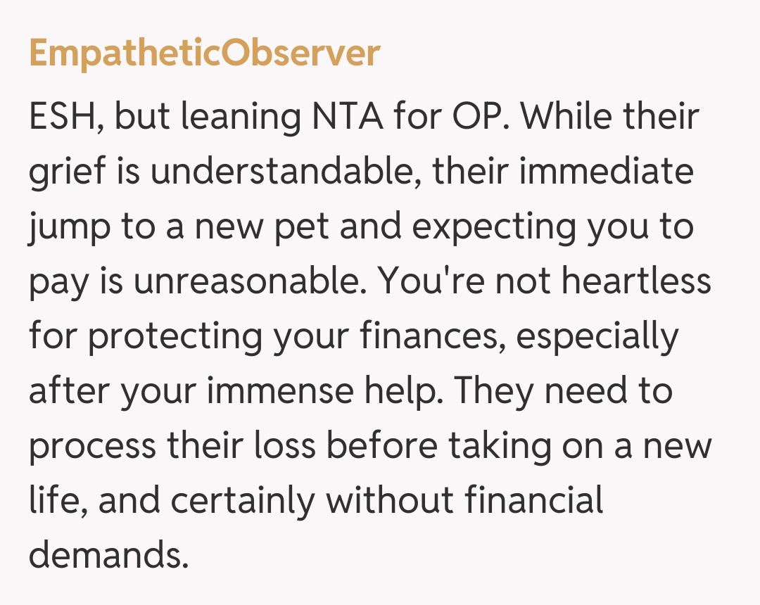 Comentariu de la EmpatheticObserver