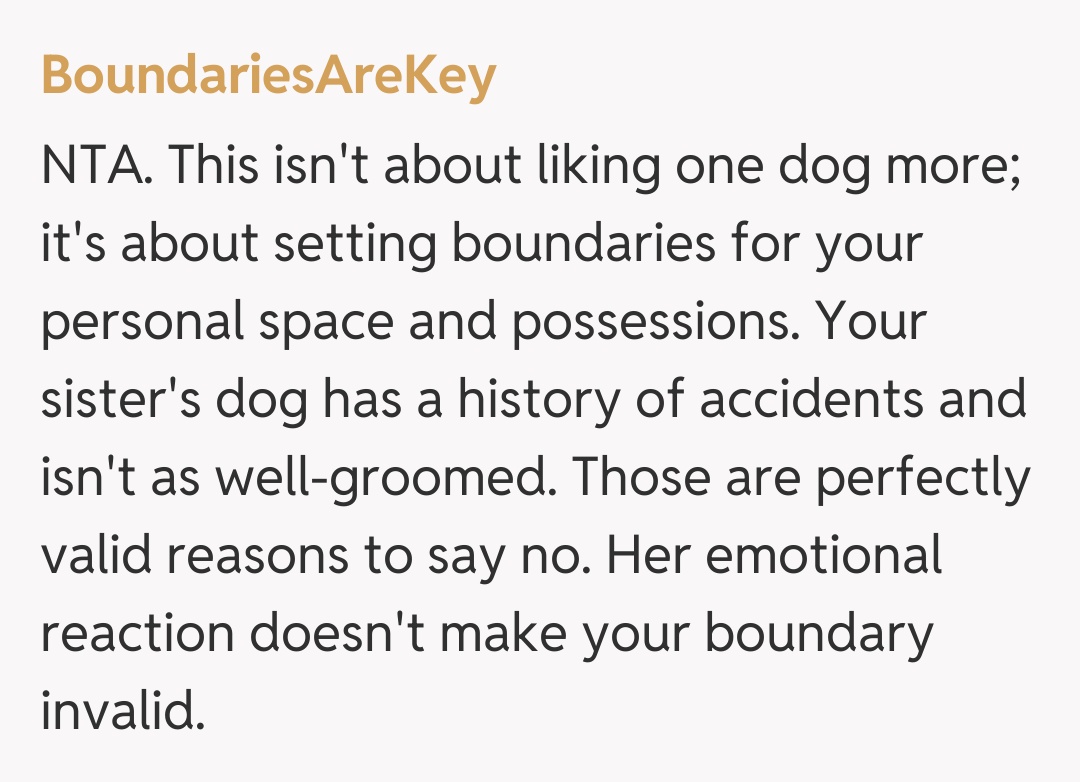 Comentariu de la BoundariesAreKey