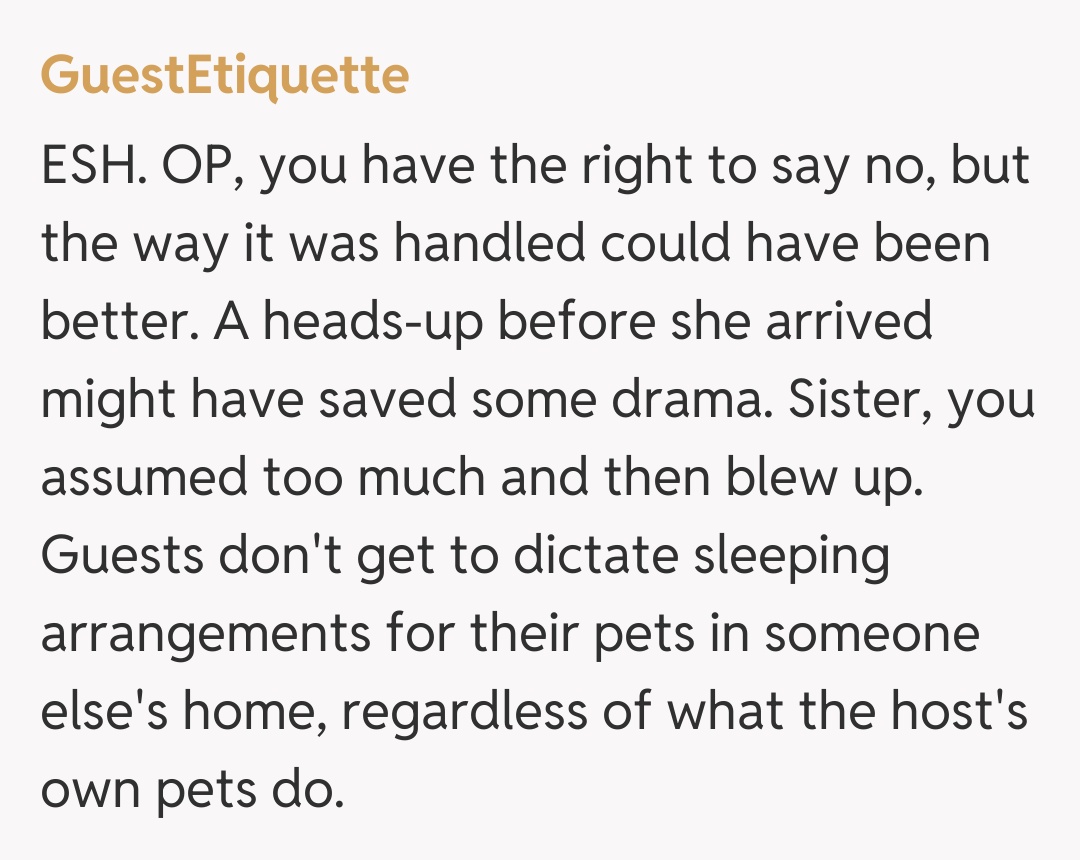 Comentariu de la GuestEtiquette