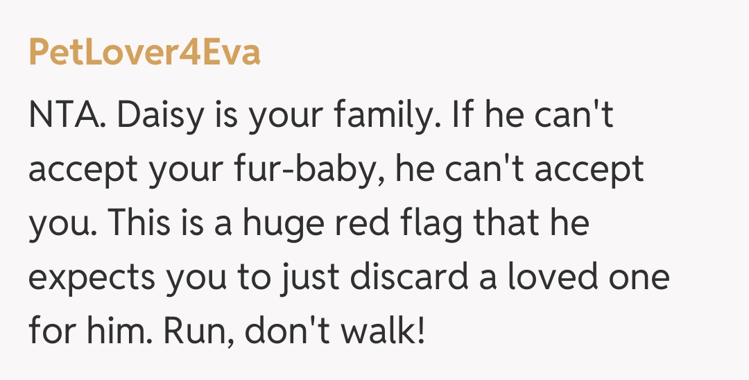 Comentariu de la PetLover4Eva