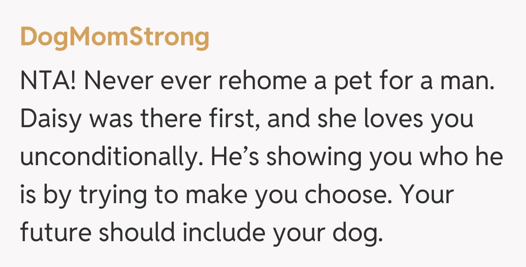 Comentariu de la DogMomStrong
