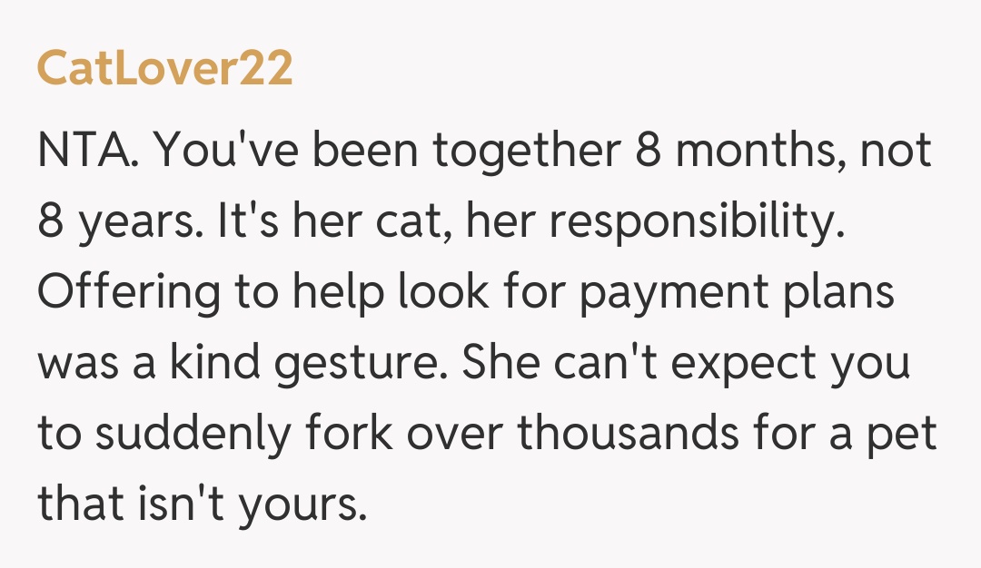 Comentariu de la CatLover22