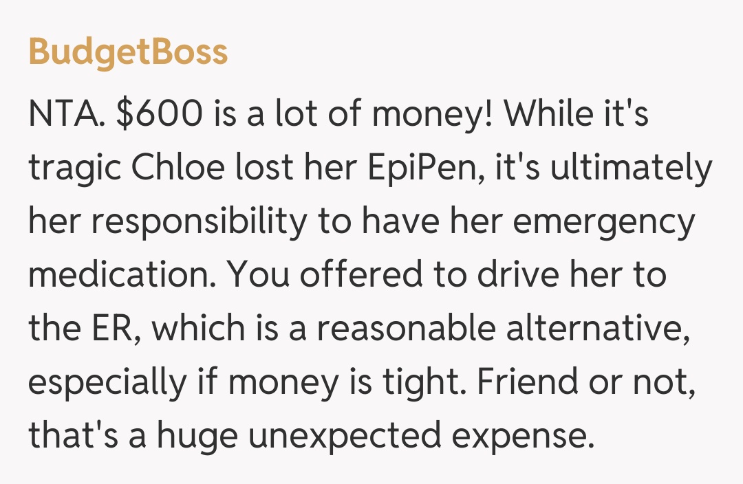 Comentariu de la BudgetBoss
