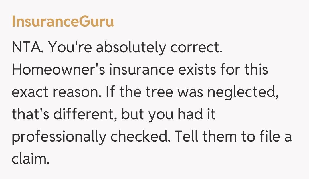 Comentariu de la InsuranceGuru