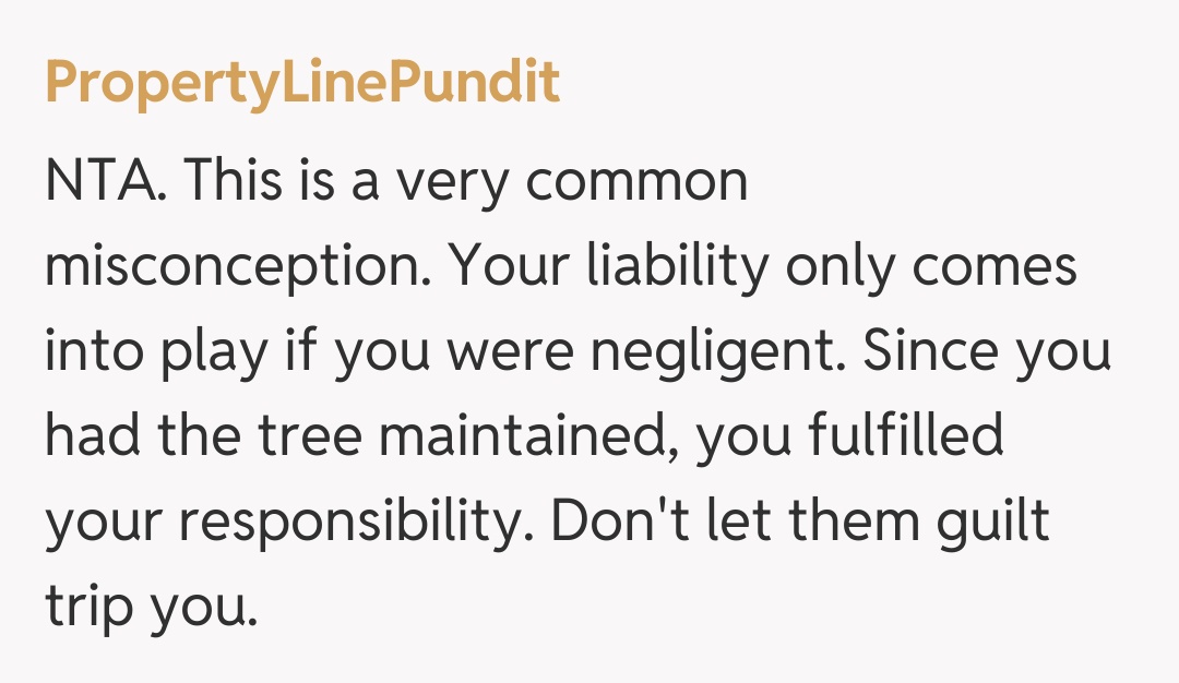 Comentariu de la PropertyLinePundit
