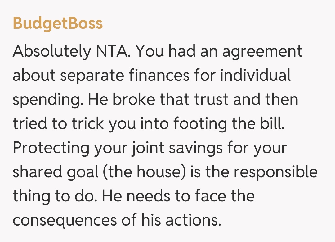 Comentariu de la BudgetBoss