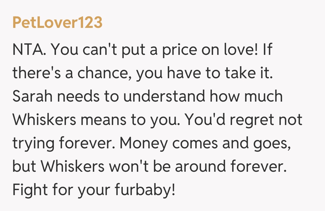 Comentariu de la PetLover123