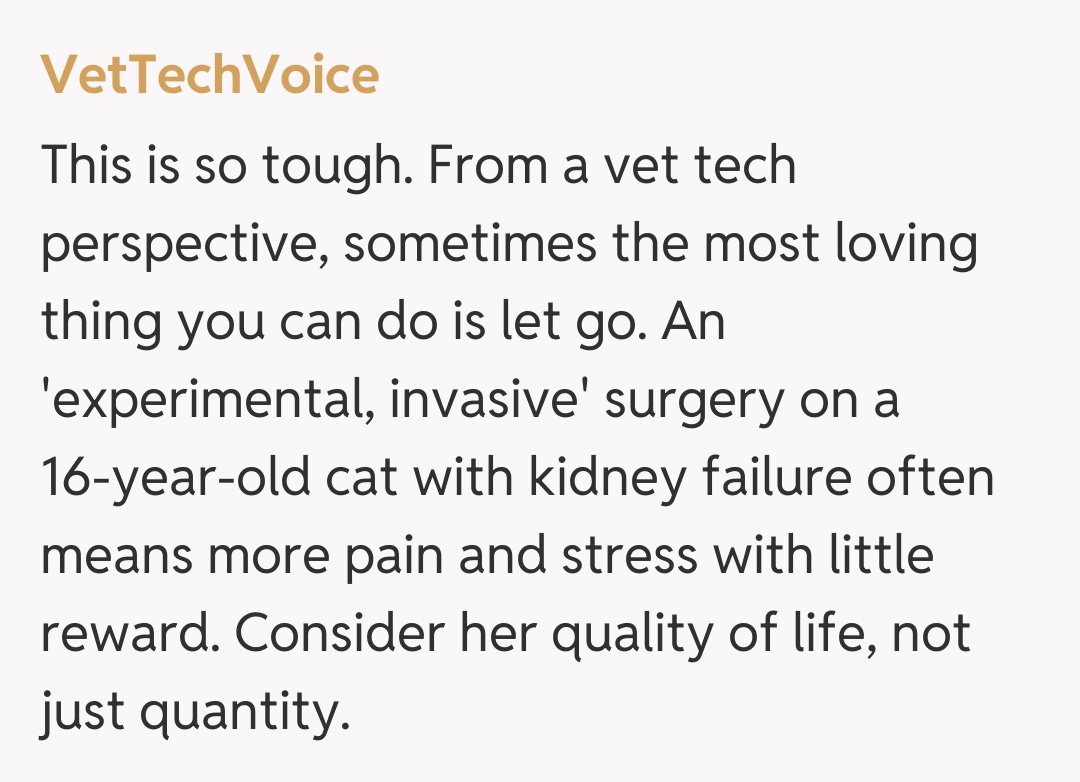 Comentariu de la VetTechVoice