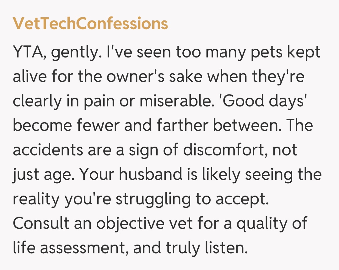 Comentariu de la VetTechConfessions