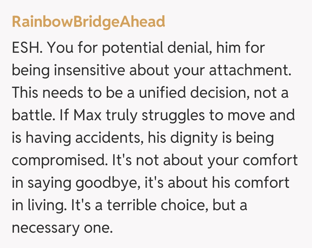Comentariu de la RainbowBridgeAhead