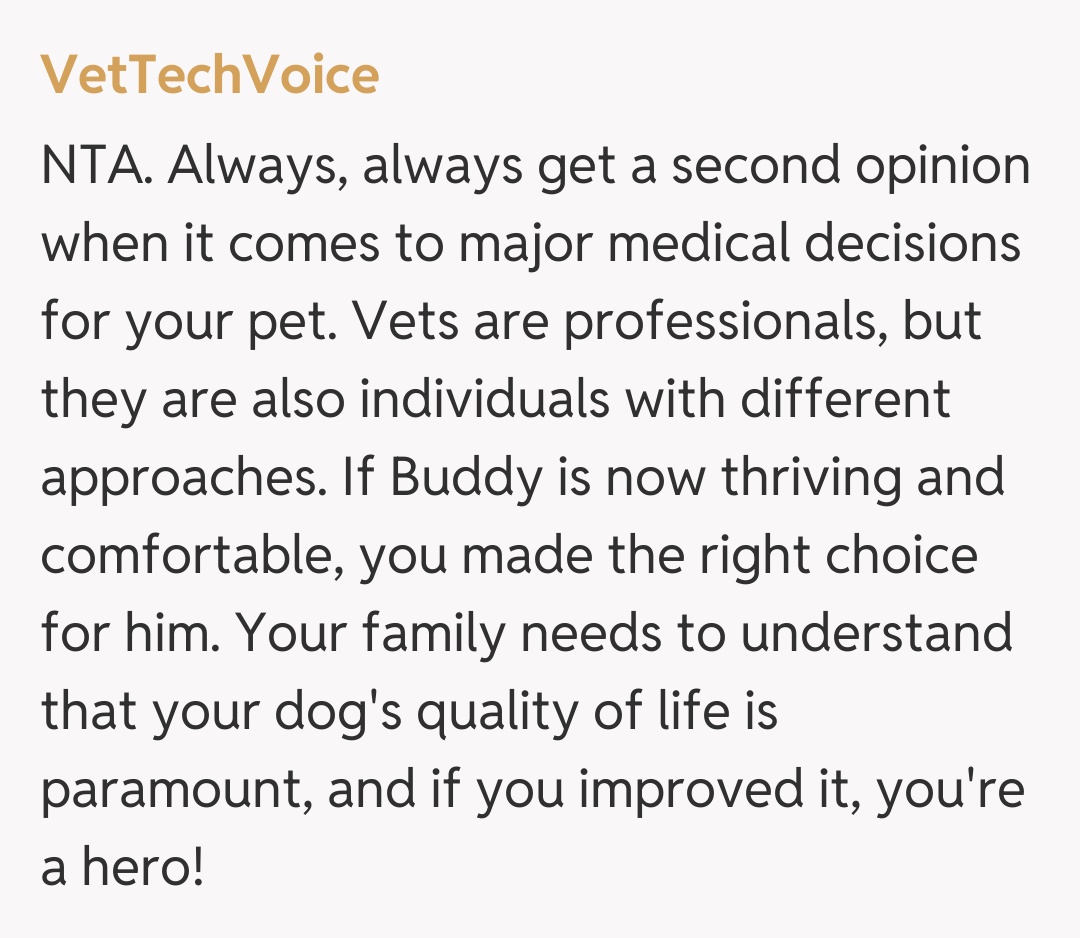 Comentariu de la VetTechVoice