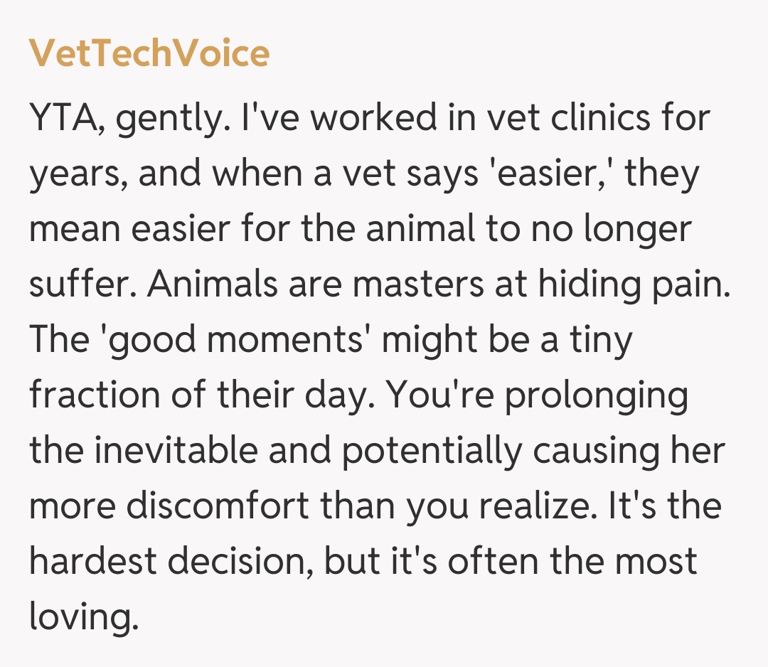 Comentariu de la VetTechVoice