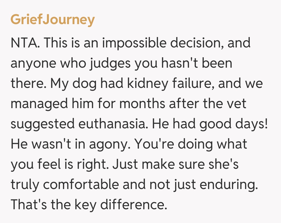 Comentariu de la GriefJourney
