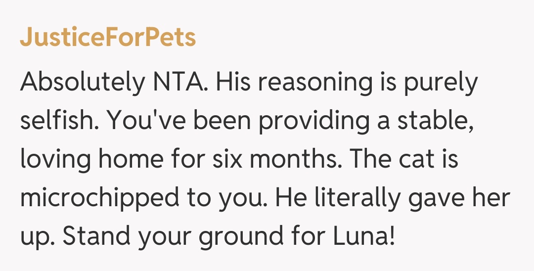 Comentariu de la JusticeForPets