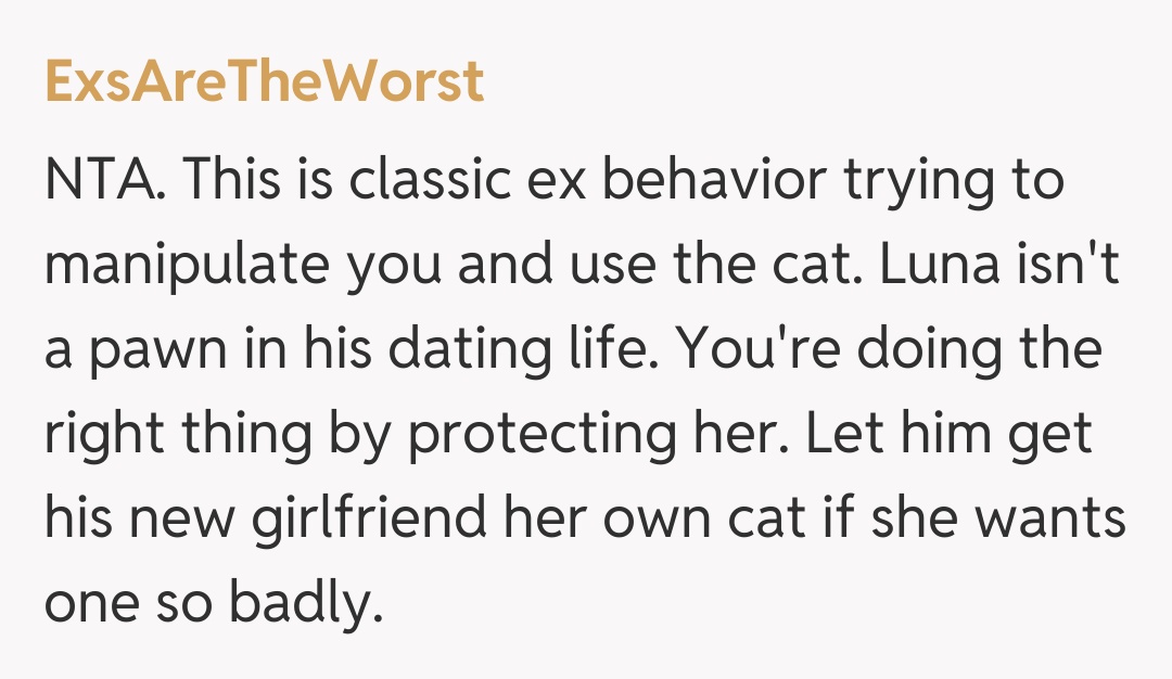 Comentariu de la ExsAreTheWorst