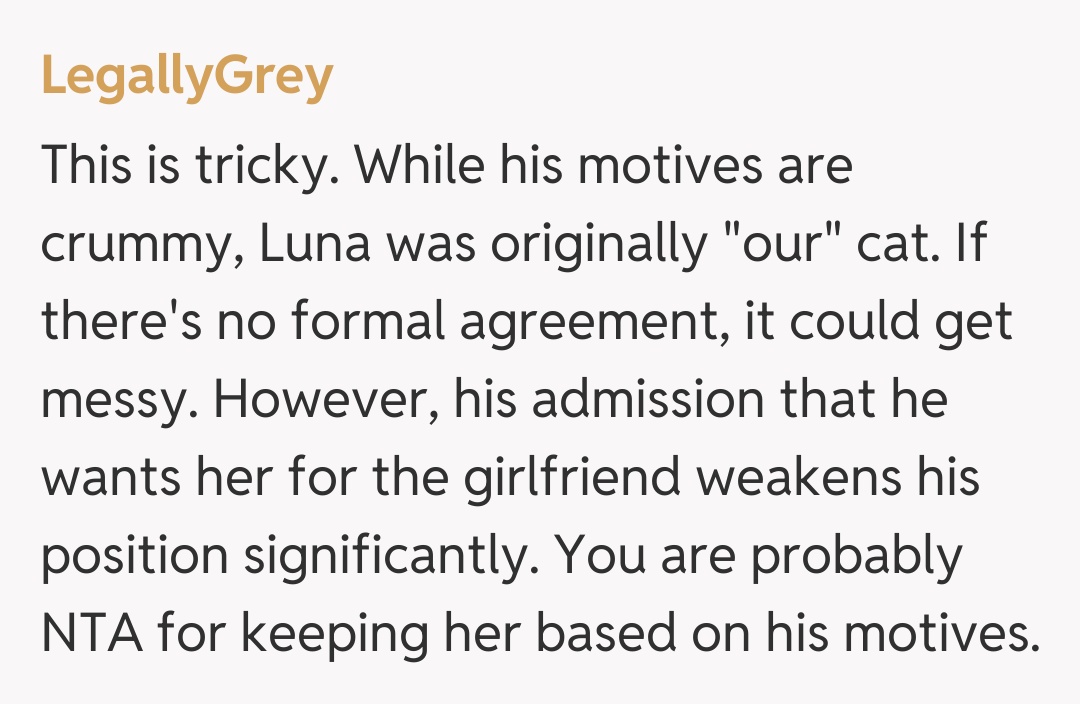 Comentariu de la LegallyGrey